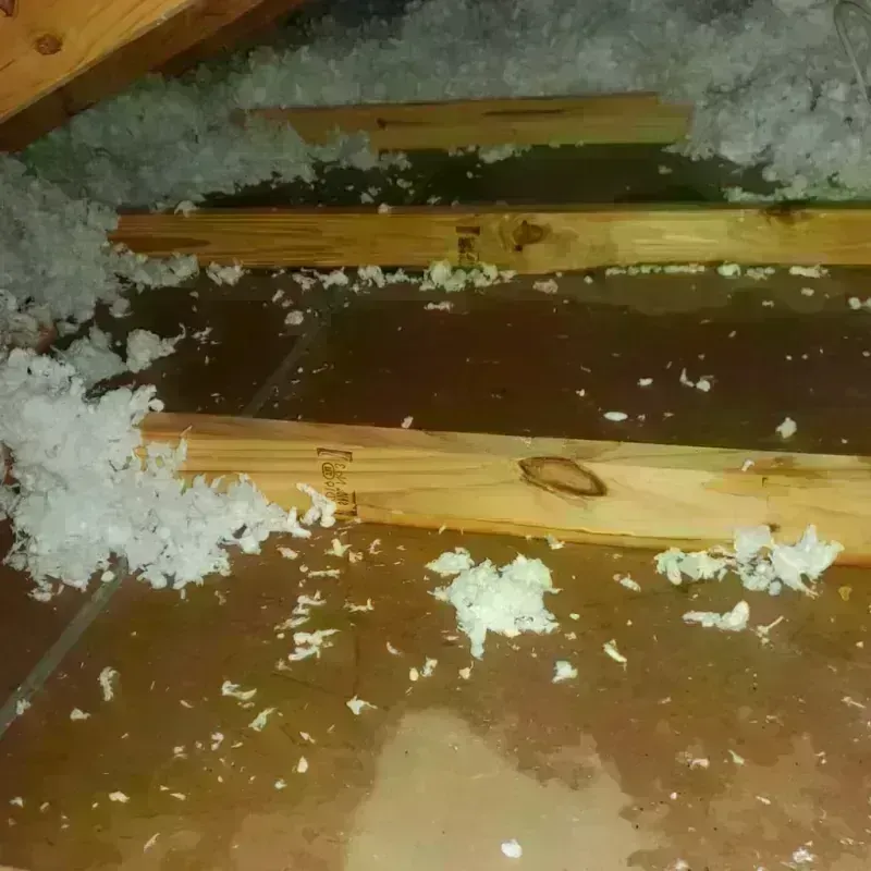 Attic Water Damage in Vine Grove, KY